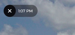 Image Viewer Timestamp