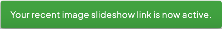 Recent Slideshow Active confirmation