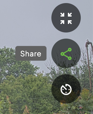 Share Button